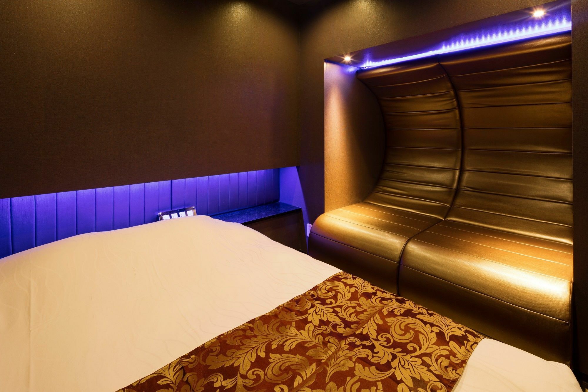 The Shinjuku (adults Only) Tokio